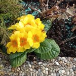 phoca_thumb_m_vstava 25 Fotogalerie